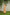 POMO CLAY – 20s POPLIN MAXI DRESS (NATURALLY DYED)