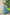 SUNLIT SAPPHIRE ORGANIC SMOCKED MIDI DRESS