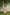 POMO CLAY – 20s POPLIN MAXI DRESS (NATURALLY DYED)