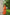 ORANGE HEMP MINI DRESS